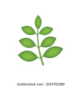 Spring tree branch with green leaves vector flat icon on white background. Detailed vector plant. 3d illustration. 