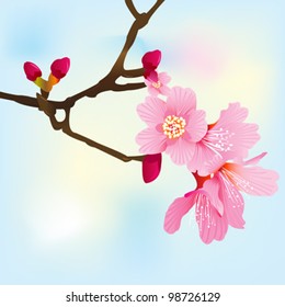 Spring tree branch with pink blossoms illustration