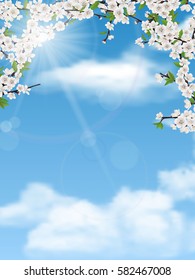 Spring tree branches with leaves and flowers on sky background.  Blooming apple or cherry.