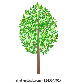 Spring tree with bright green leaves, vector illustration