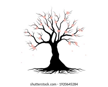 Spring tree. cherry blossom and nature branch plant vector illustration