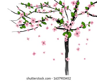 Spring tree with cherry flowers blossom, sakura, plum. Vector isolated