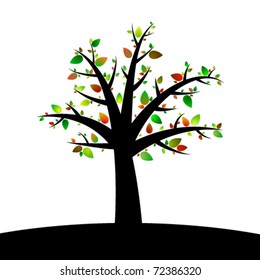 A spring tree with colorful leaves