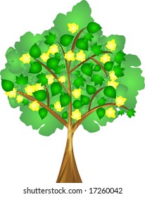 spring tree with colourful leafs