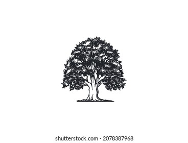 spring tree with female face and roots on white background, vector, Abstract Human tree logo. Unique Tree Vector illustration with circle and abstract woman shape.