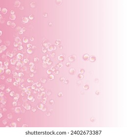 Spring tree flowers, airy flying blossom on rose color background. Pink sakura blossom falling Valentine's romantic vector. Natural marrige decor of chinese cherry flowers. Asian poster background.