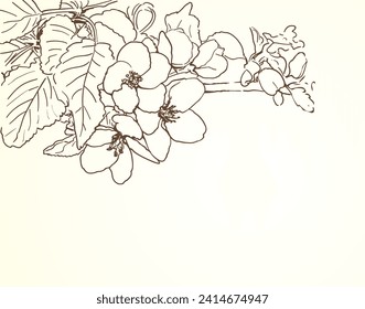 Spring tree flowers line art drawing background with space for text. vector illustration