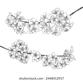 Spring tree flowers line art drawing background collection. vector illustration