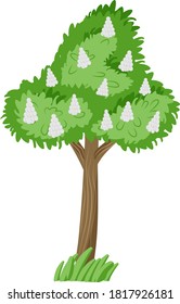Árbol de primavera con flores en ramas.