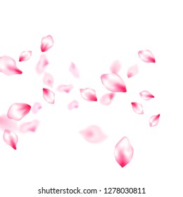 Spring tree flowers parts, airy flying petals windy blowing background. Delicate spring vector. Realistic peach flolwer petals natural decor. Pink sakura blossom falling parts romantic vector.