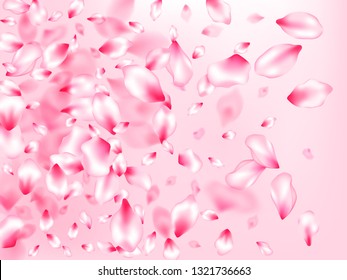 Spring tree flowers parts, airy flying petals on rose color background. Pink sakura blossom falling parts romantic vector. Flower blossom particles, petals rain shower. Postcart background.