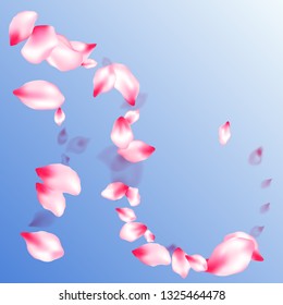 Spring tree flowers parts, airy flying petals on blue sky background. Pink sakura blossom falling parts romantic vector. Spring or summer light flower petals illustration. Birthday card backdrop.