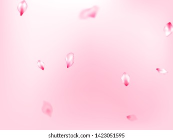 Spring tree flowers parts, airy flying petals on rose color background. Pink sakura blossom falling parts romantic vector. Natural marrige decor of chinese cherry petals. Anniversary background.