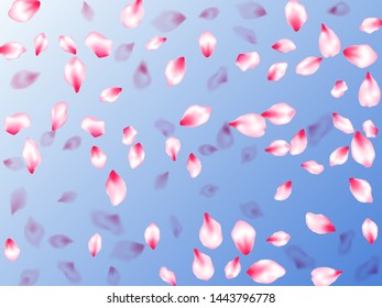 Spring tree flowers parts, airy flying petals on blue sky background. Invitation card pattern. SPA beauty illustration of sakura bloom petals. Pink sakura blossom falling parts romantic vector.