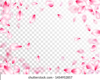 Spring tree flowers parts, airy flying petals on transparent background. Abstract card backdrop. SPA beauty illustration of sakura bloom petals. Pink sakura blossom falling parts romantic vector.