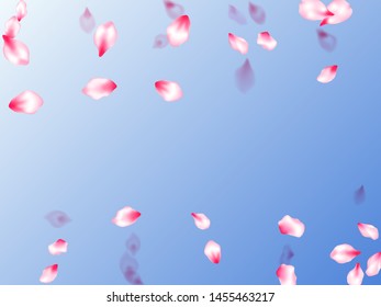 Spring tree flowers parts, airy flying petals on blue sky background. Asian poster background. Natural marrige decor of chinese cherry petals. Pink sakura blossom falling parts romantic vector.