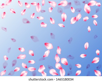 Spring tree flowers parts, airy flying petals on blue sky background. Blur effect bloom parts. Pastel pink blossom petals floral design. Pink sakura blossom falling parts romantic vector.