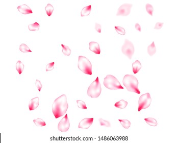 Spring tree flowers parts, airy flying petals windy blowing background. Pink sakura blossom falling parts romantic vector. Natural marrige decor of chinese cherry petals. Delicate spring vector.