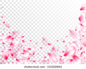 Spring tree flowers parts, airy flying petals on transparent background. Pink sakura blossom falling parts romantic vector. Spring or summer light flower petals illustration. Asian poster background.