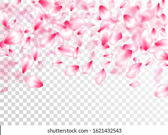 Spring tree flowers parts, airy flying petals on transparent background. Pink sakura blossom falling parts romantic vector. Flower blossom particles, petals rain shower. Close up bloom elements.