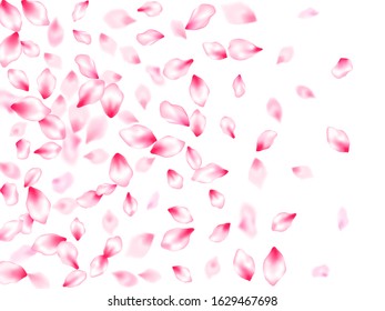 Spring tree flowers parts, airy flying petals windy blowing background. Pink sakura blossom falling parts romantic vector. Spring or summer light flower petals illustration. Abstract card backdrop.