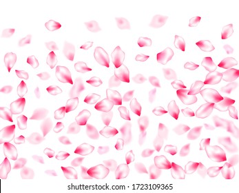 Spring tree flowers parts, airy flying petals windy blowing background. Bloom 3d particles. Realistic peach flolwer petals natural decor. Pink sakura blossom falling parts romantic vector.