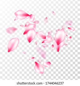 Spring tree flowers parts, airy flying petals on transparent background. Pink sakura blossom falling parts romantic vector. Spring or summer light flower petals illustration. Postcart background.