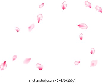Spring tree flowers parts, airy flying petals windy blowing background. Oriental composition. Pastel rose color apple flower petals design. Pink sakura blossom falling parts romantic vector.