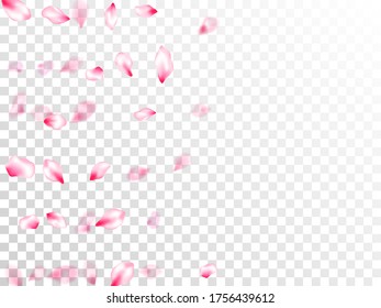 Spring tree flowers parts, airy flying petals on transparent background. Pink sakura blossom falling parts romantic vector. Pastel pink blossom petals floral design. Wedding celebration eps.