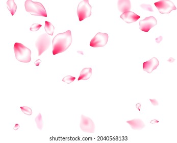 Spring tree flowers parts, airy flying petals windy blowing background. Pink sakura blossom falling parts romantic vector. Natural marrige decor of chinese cherry petals. Botanical 3d particles.