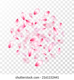 Spring tree flowers parts, airy flying petals on transparent background. Pink sakura blossom falling parts romantic vector. Pastel pink blossom petals floral design. Birthday card backdrop.