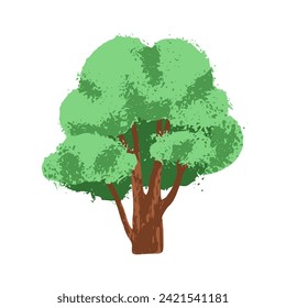 Spring tree, forest plant. Deciduous wood vegetation, summer leaf lush crown on branches, trunk. Abstract botanical flat vector illustration isolated on white background