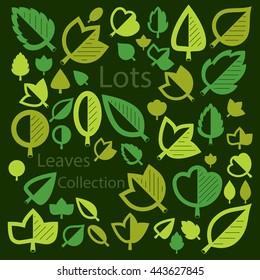 Spring tree leaves, botany and eco flat images. Vector illustration of herbs, collection of natural and ecology elements can be used in web design.