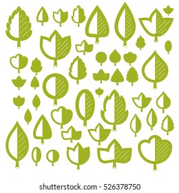 Spring tree leaves, botany and eco flat images. Vector illustration of herbs, collection of natural and ecology elements can be used in web design.