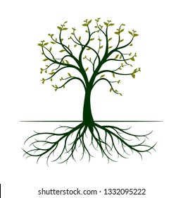 Spring Tree with leaves and Roots on white background. Vector Illustration.