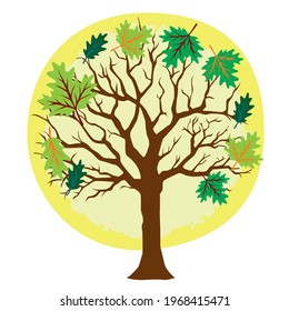 Spring tree with leaves, vector illustration
