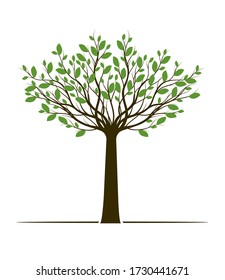 Spring Tree of Life on green background. Silhouette shape with Leaves. Vector outline Illustration. Plant in Garden. Royalty free vector object.