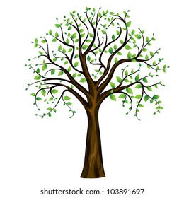 Spring tree on the white background, vector image