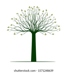 Spring Tree on white background. Vector Illustration. Plant in garden.
