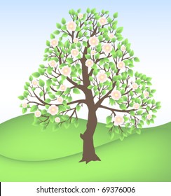 spring tree with pink blossoms