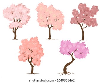 Spring tree. Pink leave and nature, branch plant, vector illustration
