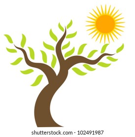 Spring tree and sun - vector illustration