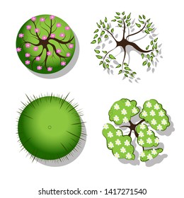 Spring tree top color illustration