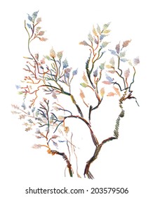 Spring tree twigs illustration vector