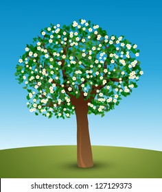 Spring tree. Vector illustration of tree with green leaves and white flowers