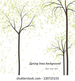 spring trees background