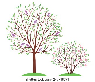 Spring trees with flowers and birds. Isolated on white background. Vector illustration.