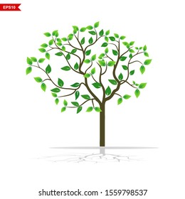 Spring Trees and Green Leaves. Vector Plants in the garden with a white background