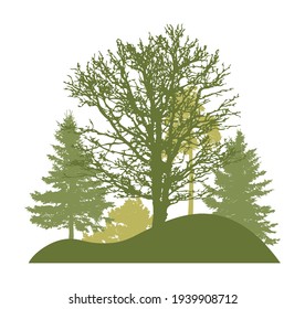 Spring trees. Silhouette of beautiful bare oak, spruces and pine on hill. Vector illustration.