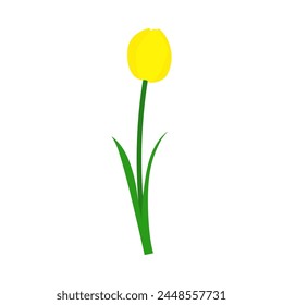 Spring tulip element. Ideal for making colorful summer and spring designs. Vector illustration.